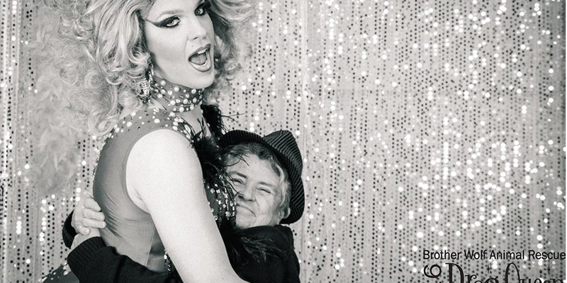 Drag Queen Bingo 2016